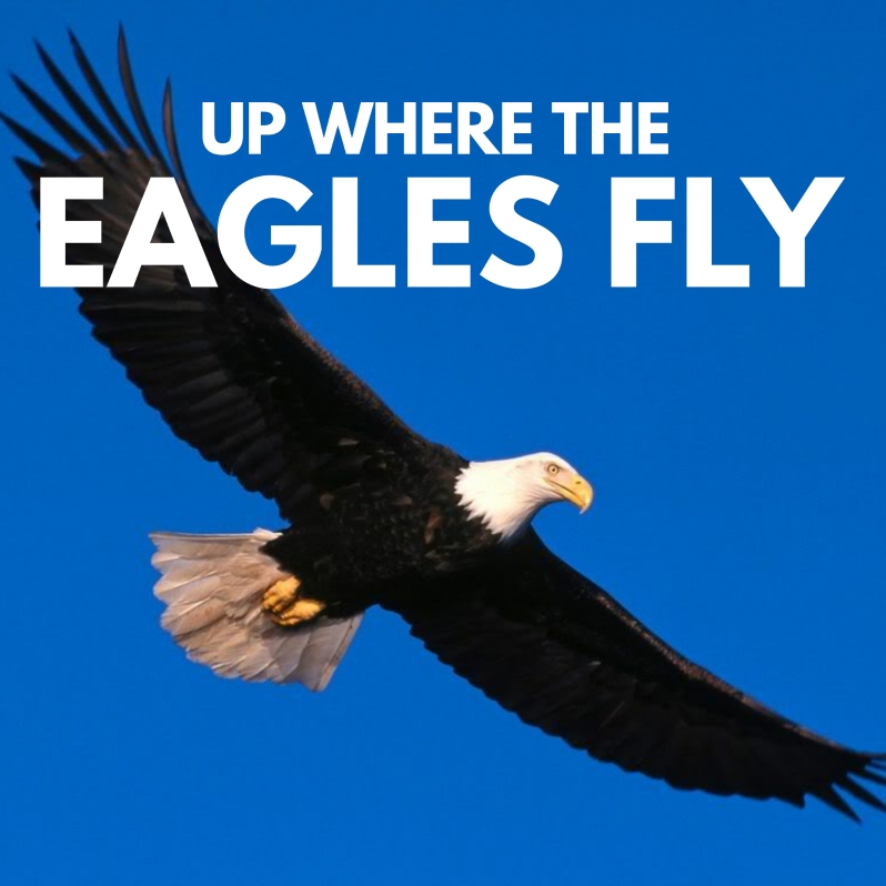 Up Where the Eagles Fly - Dr Sid